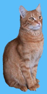 Purr-vert